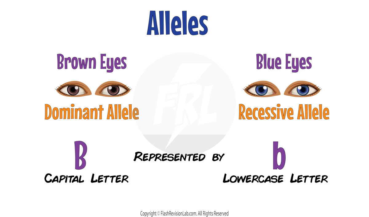 Recessive & Dominant